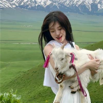 我的野蛮网友